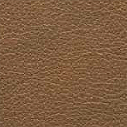 Skyvenetian leather - texture - SIENNA - RL-SIE - Dometic - Acastimar